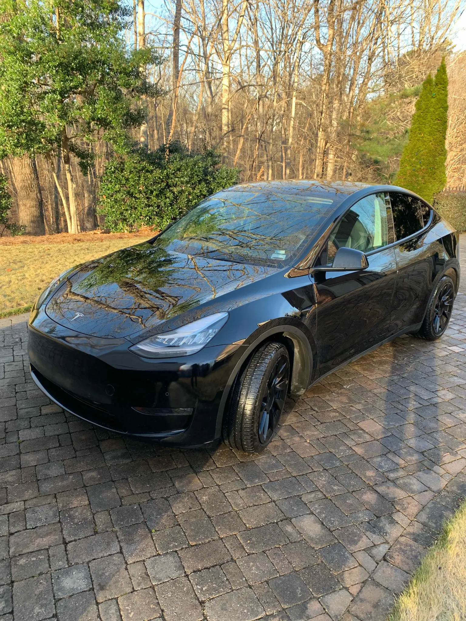 Tesla Detailing